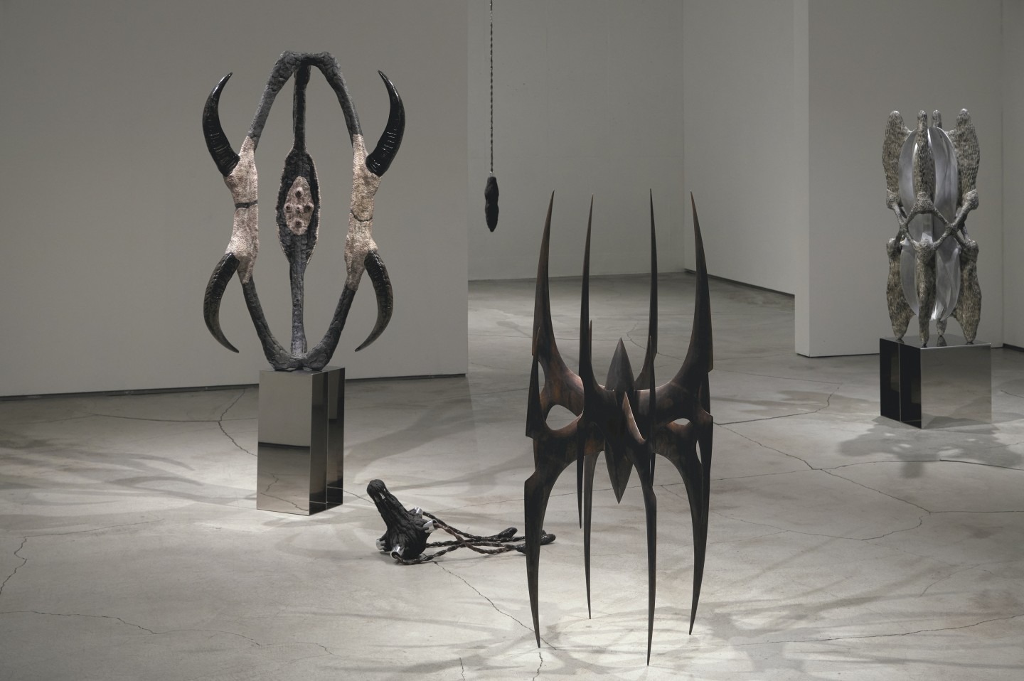 전시전경 · Exhibition view · (이미지 출처 = g갤러리) · (Source = g gallery)