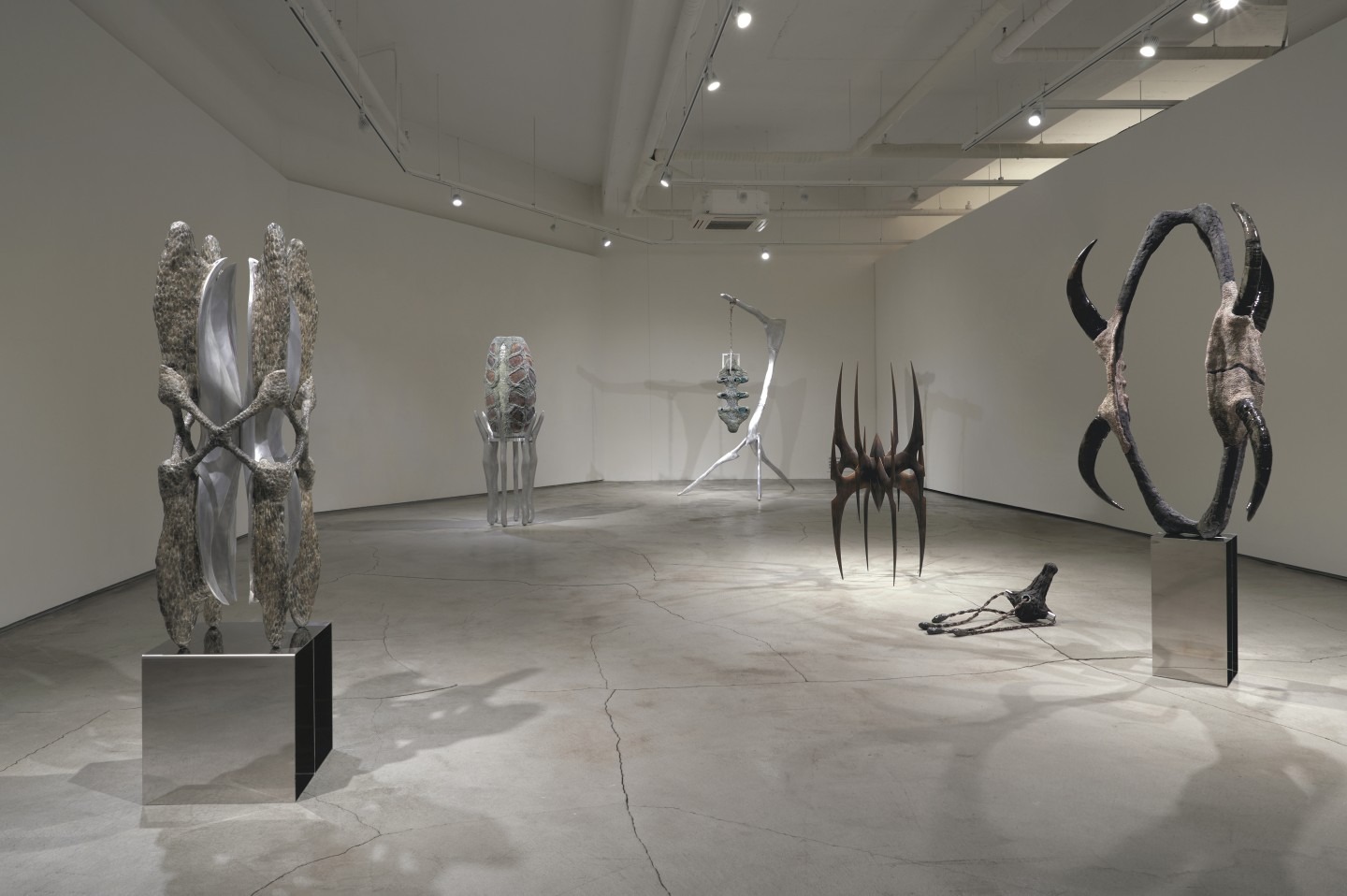 전시전경 · Exhibition view · (이미지 출처 = g갤러리) · (Source = g gallery)