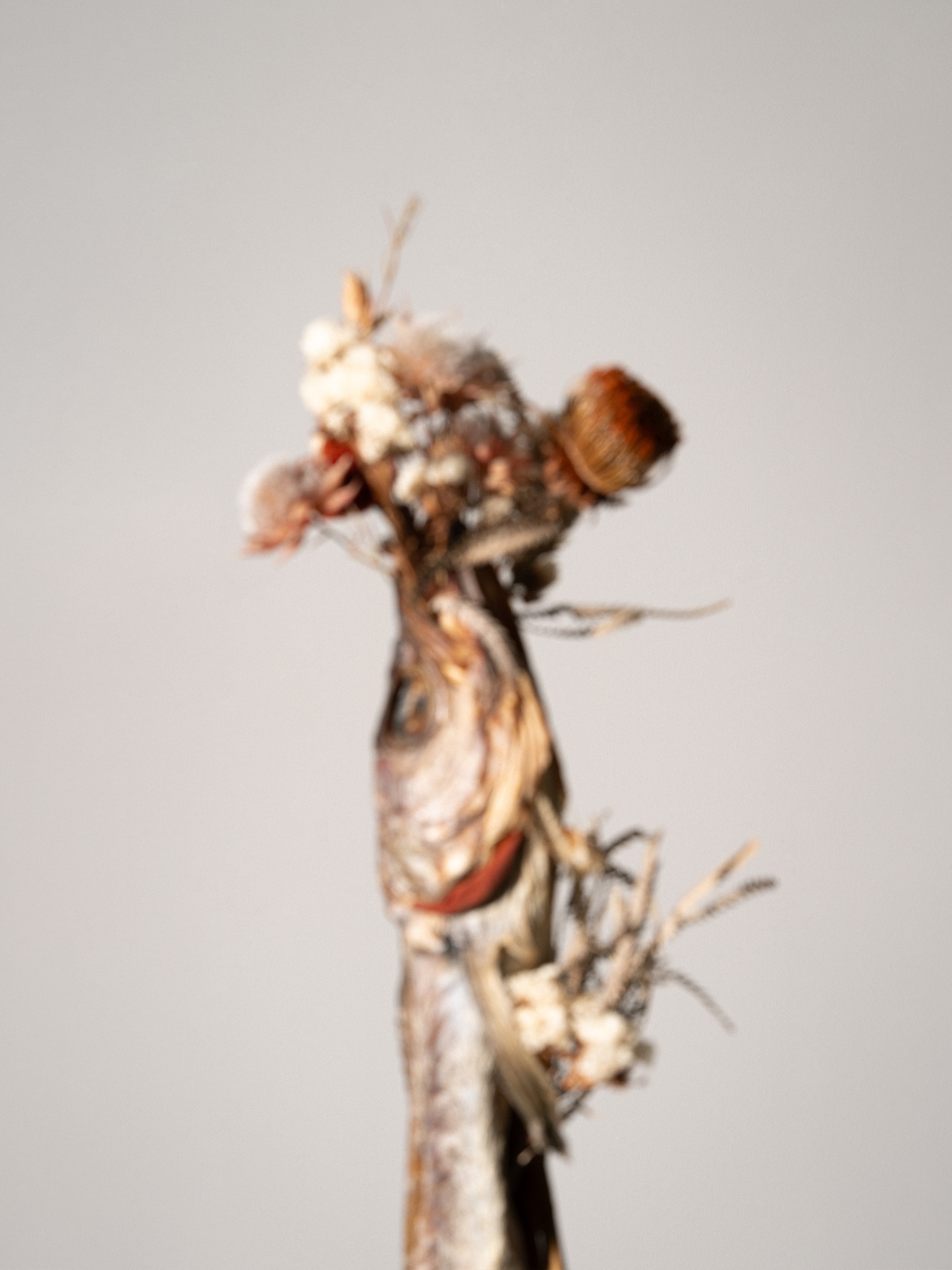 Dried fish waltz · pigment print · 160x120cm · 2023 · Dried fish waltz · pigment print · 양준식 · Yang joonchic · (이미지 출처 = 작가 제공) · (Source = Yang joonchic)
