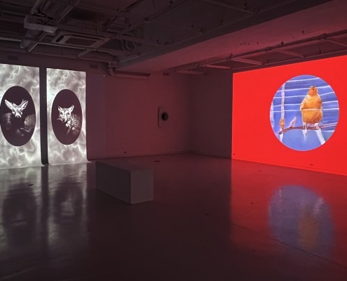 전시전경 · Exhibition view · (이미지 출처 = 보안1924) · (Source = Boan1942)