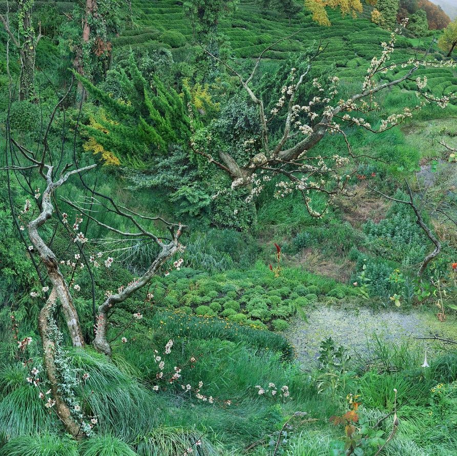 나현, 원성원 · Na Hyun, Won seoungwon · (이미지 출처 = G컨템포러리) · (Image Source = g.contemporary)