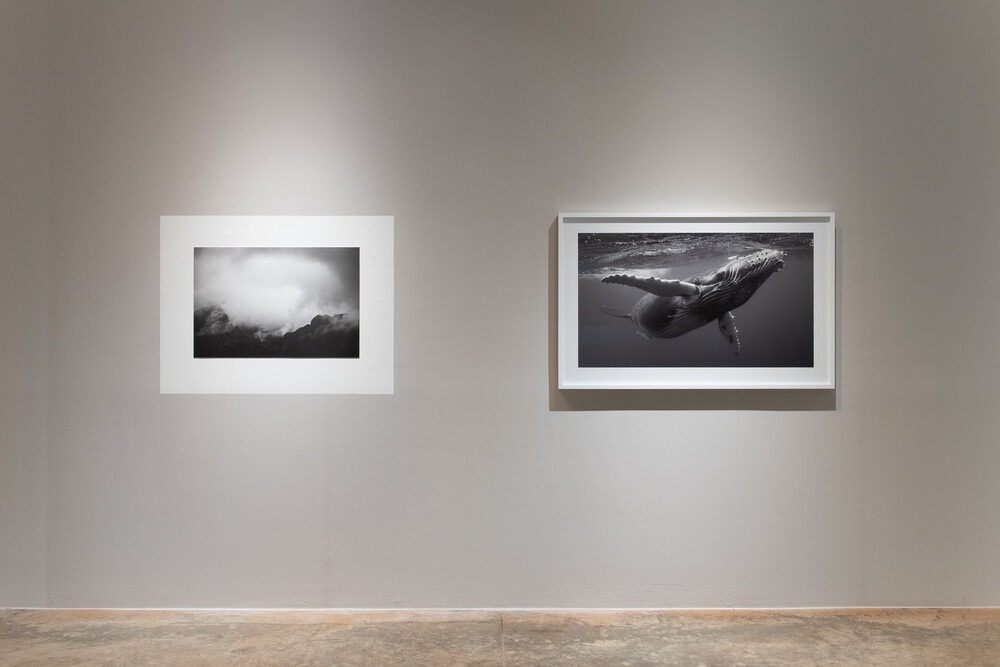 전시전경 · Exhibition view · (이미지 출처 = 닻미술관) · (Source = Datz Museum)
