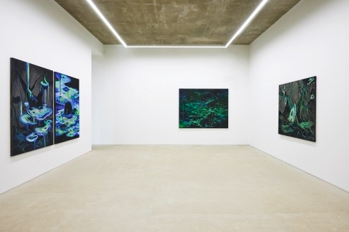 전시전경 · Exhibition view · (이미지 출처 = 갤러리2) · (source = gallery2)