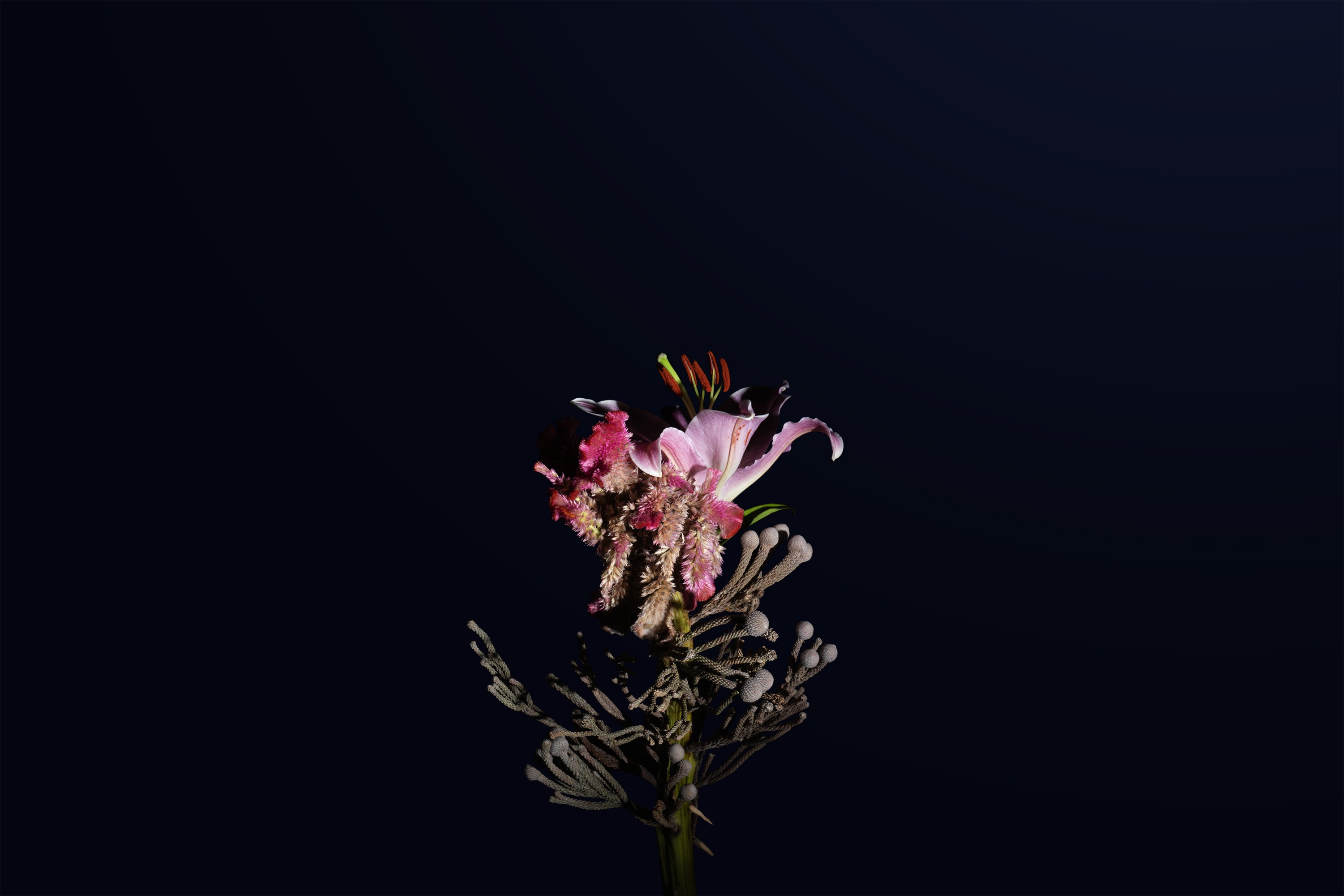 Chimera #1 · pigment print · 80x120cm · 2021 · Chimera #1 · pigment print · 양준식 · Yang joonchic · (이미지 출처 = 작가 제공) · (Source = Yang joonchic)