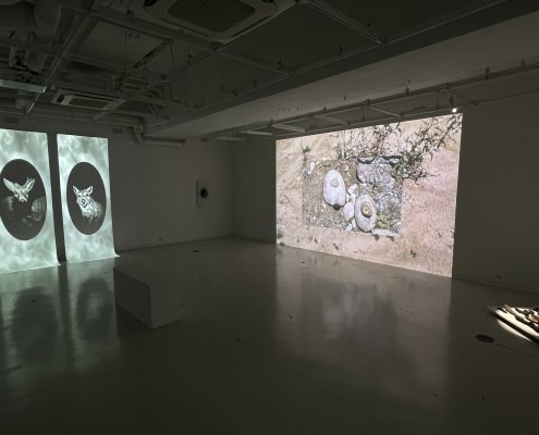 전시전경 · Exhibition view · (이미지 출처 = 보안1924) · (Source = Boan1942)