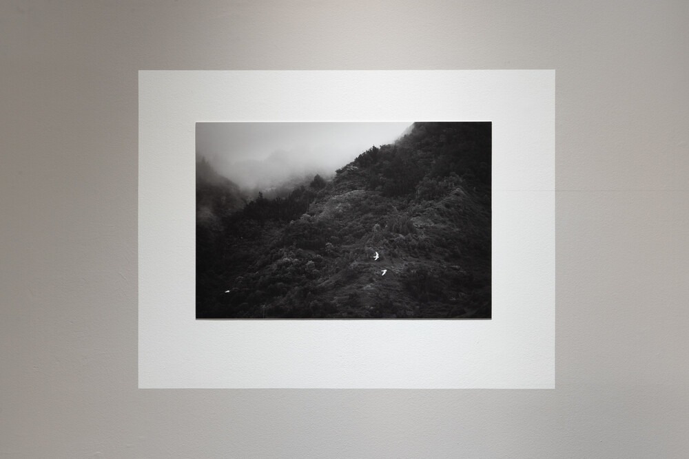 전시전경 · Exhibition view · (이미지 출처 = 닻미술관) · (Source = Datz Museum)