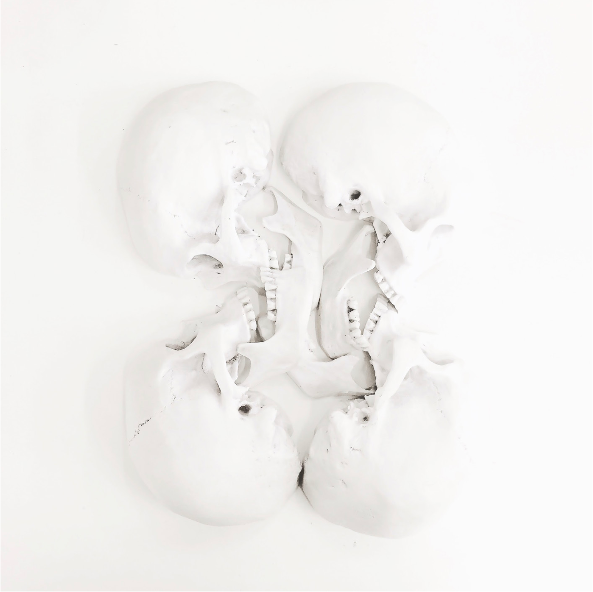 연인들 · 의료실습용 두개골 모형, 강화 석고, 자작나무 합판 · 120x120cm · 2018 · 박관우 · Park Kwanwoo · (이미지 제공 = 더 레퍼런스) · (Source = The reference seoul)