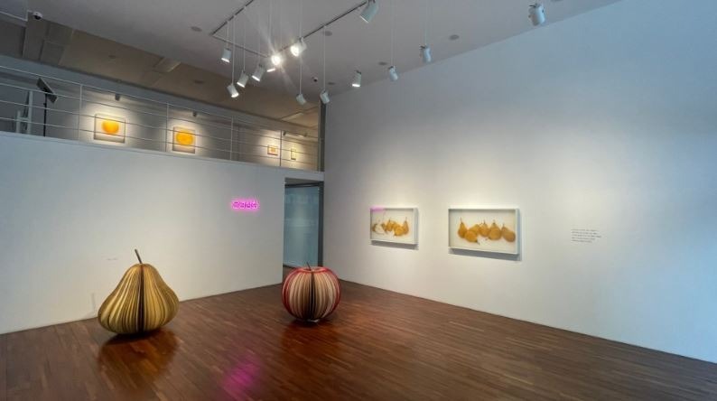 전시전경 · Exhibition view · (이미지 출처 = 흰물결아트센터) · (Image Source = whitewaveart)