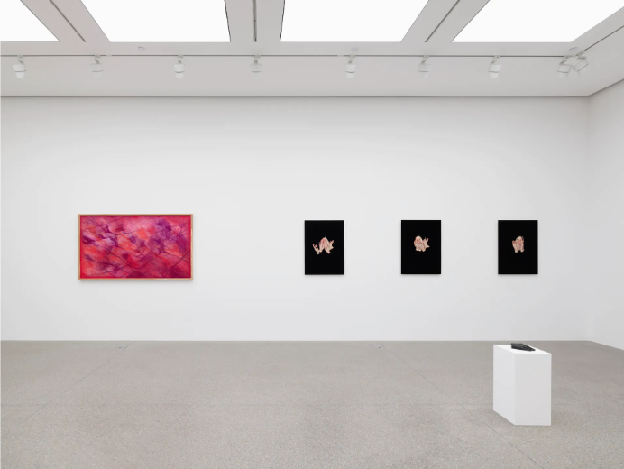 전시전경 · Exhibition view · (이미지 출처 = 화이트큐브) · (Source = whitecube)