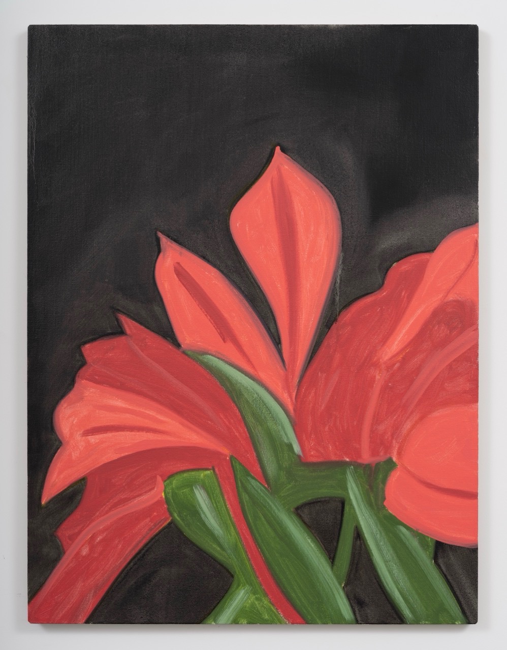 Red Lily 2 · Oil on linen · 121.9 x 91.4 cm · 2022 · Red Lily 2 · Oil on linen · 알렉스 카츠 · Alex Katz · (출처 = 글래드스톤갤러리) · (Source = Gladstone Gallery)