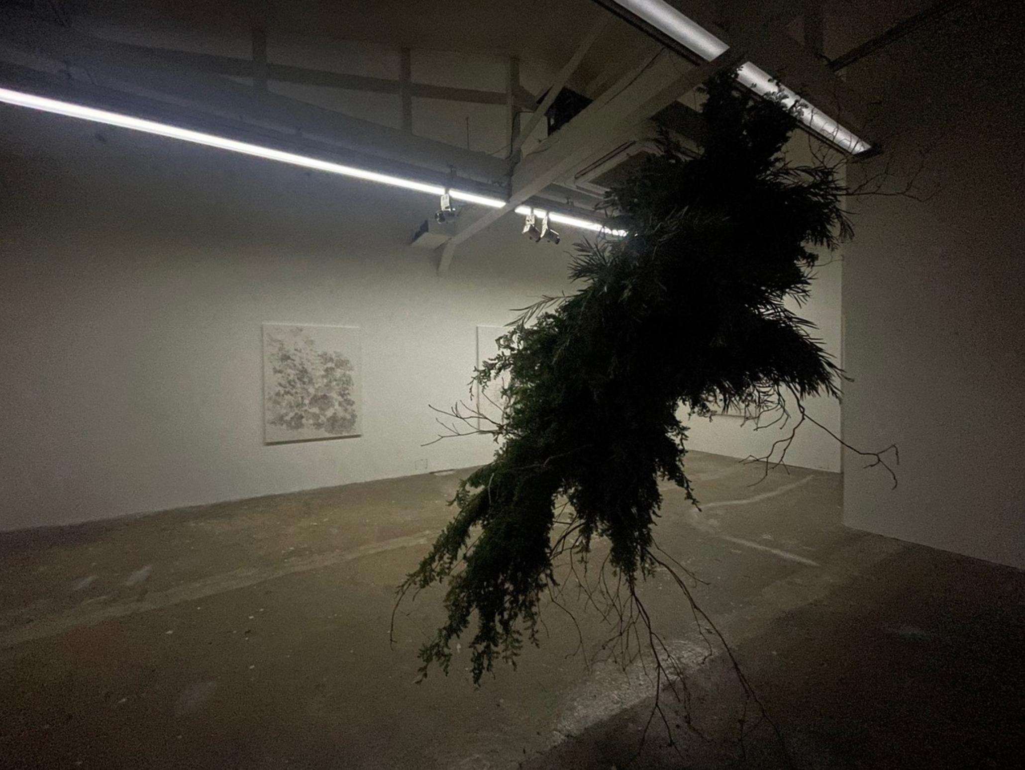 전시전경 · Exhibition view · (출처 = 상업화랑) · (Source = Sahngup Gallery)
