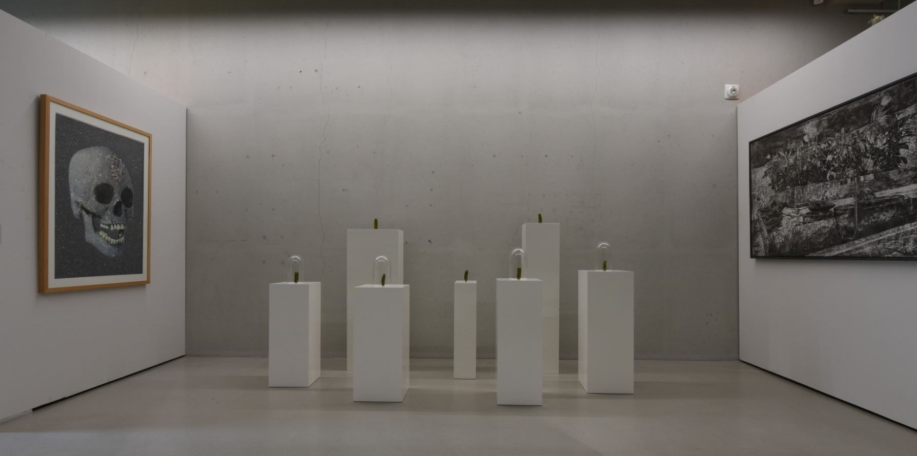 전시전경 · Exhibition view · (이미지 출처 = 구하우스) · (Image Source = koohouse)