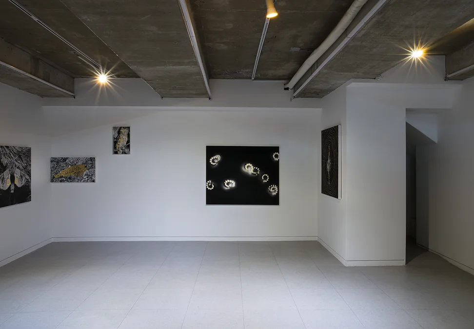 전시전경 · Exhibition view · (출처 = 스페이스 윌링앤딜링) · (Source = Space Willing and Dealing)