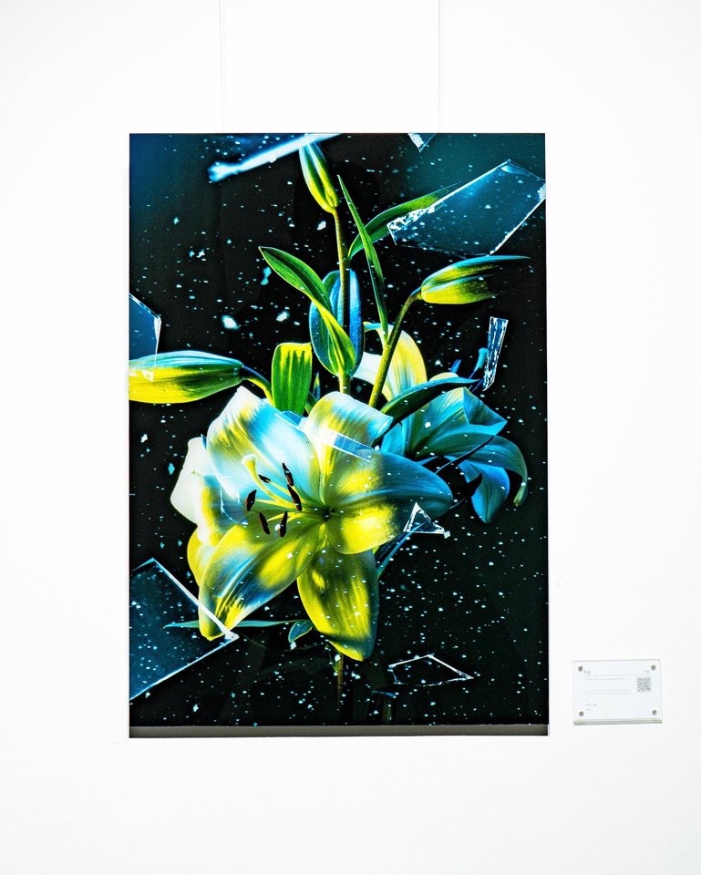 전시전경 · Exhibition view · (출처 = Muskroom) · (Source = Muskroom)