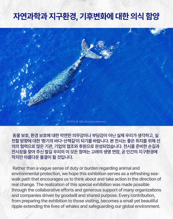 전시 전경 3