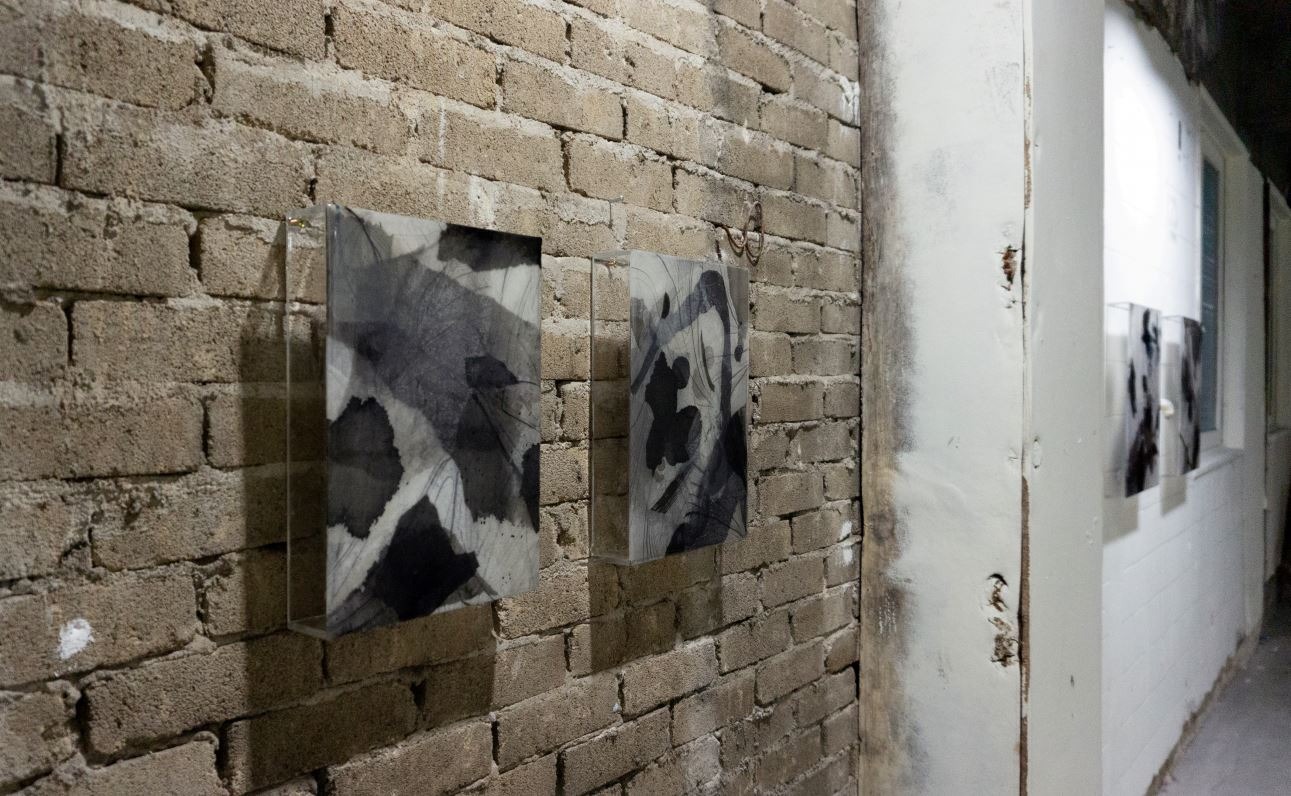 전시전경 · Exhibition view · (이미지 제공 = 박은지 작가님) · (Image Source = Eunji Park)