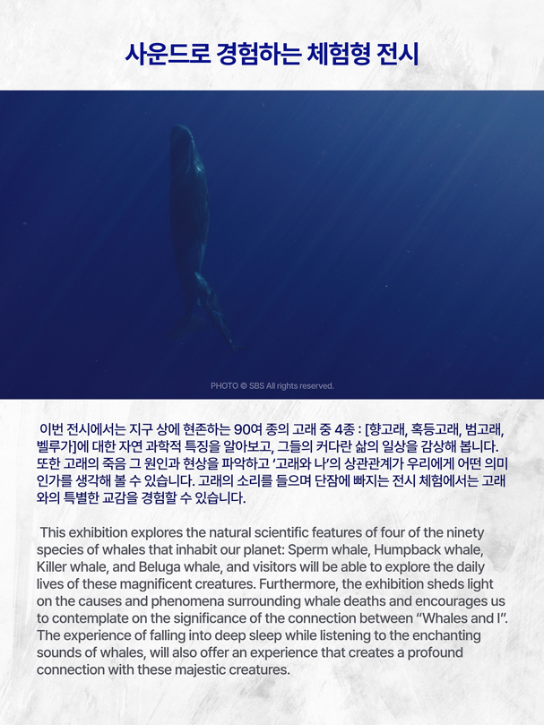 전시 전경 2