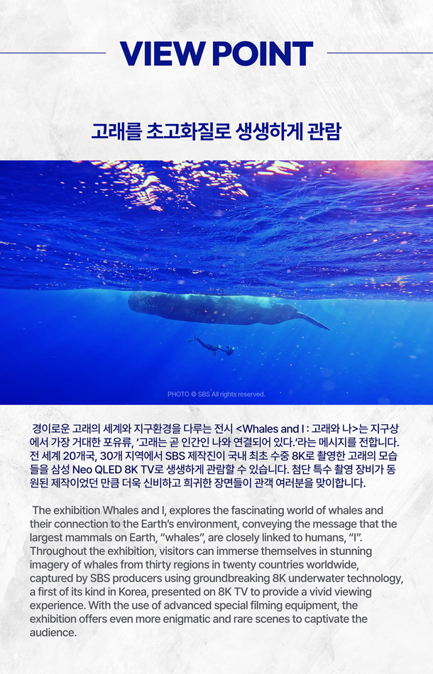 전시 전경 1