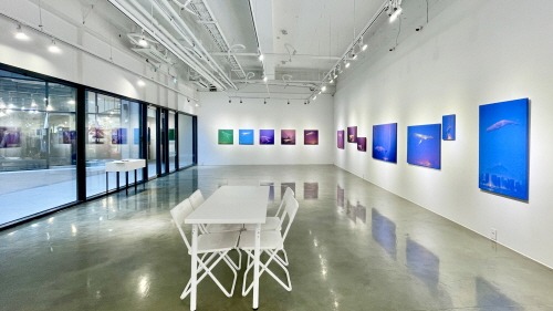 전시전경 · Exhibition view · (이미지 출처 = 마루아트센터) · (Image Source = maruart center)