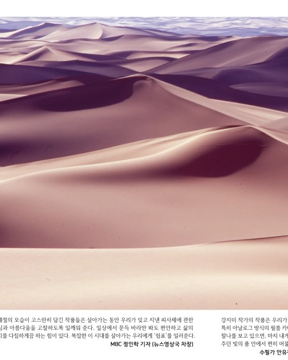 강지미 · (이미지 출처 = 오엔갤러리) · (Image Source = ongallery)