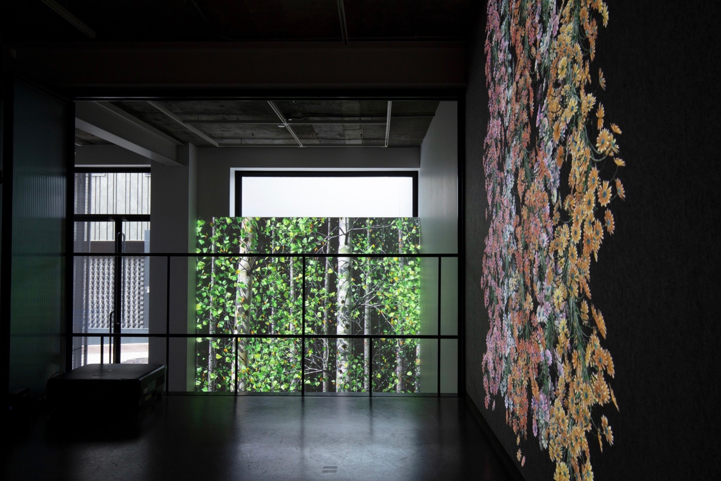 전시전경 · Exhibition view · (출처 = 리만머핀) · (Source = Lehmann Maupin)