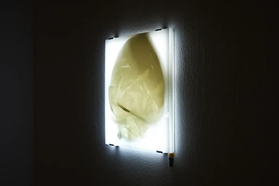 전시전경 · Exhibition view · (이미지 출처 = 갤러리2) · (Image Source = gallery2)