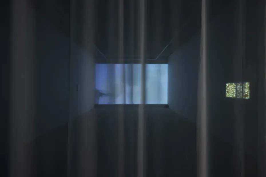 전시전경 · Exhibition view · (이미지 출처 = 갤러리2) · (Image Source = gallery2)