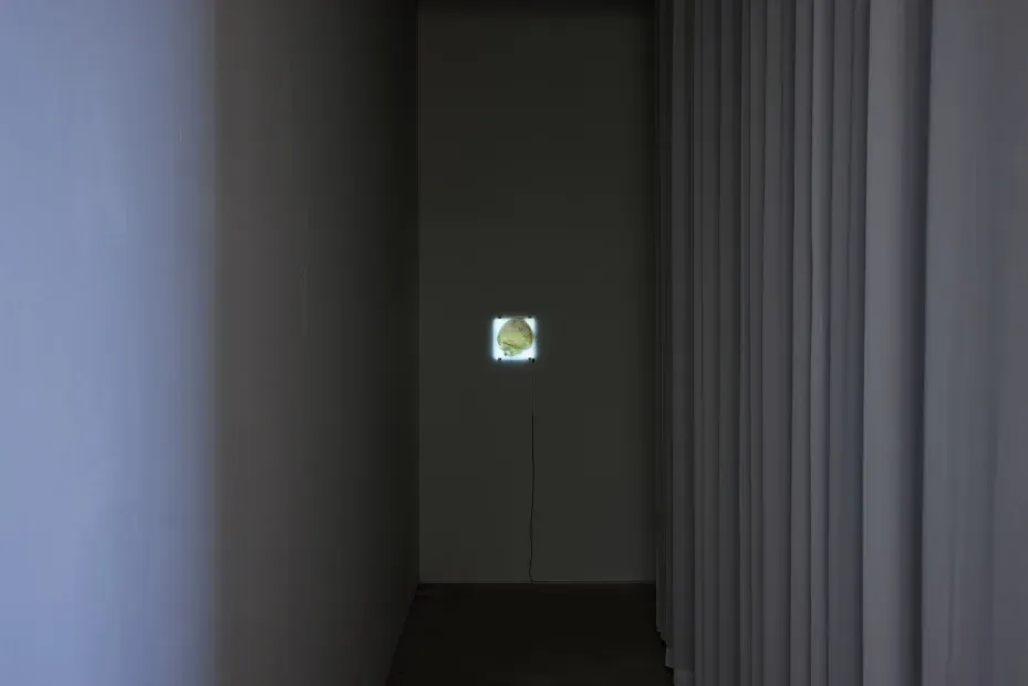 전시전경 · Exhibition view · (이미지 출처 = 갤러리2) · (Image Source = gallery2)