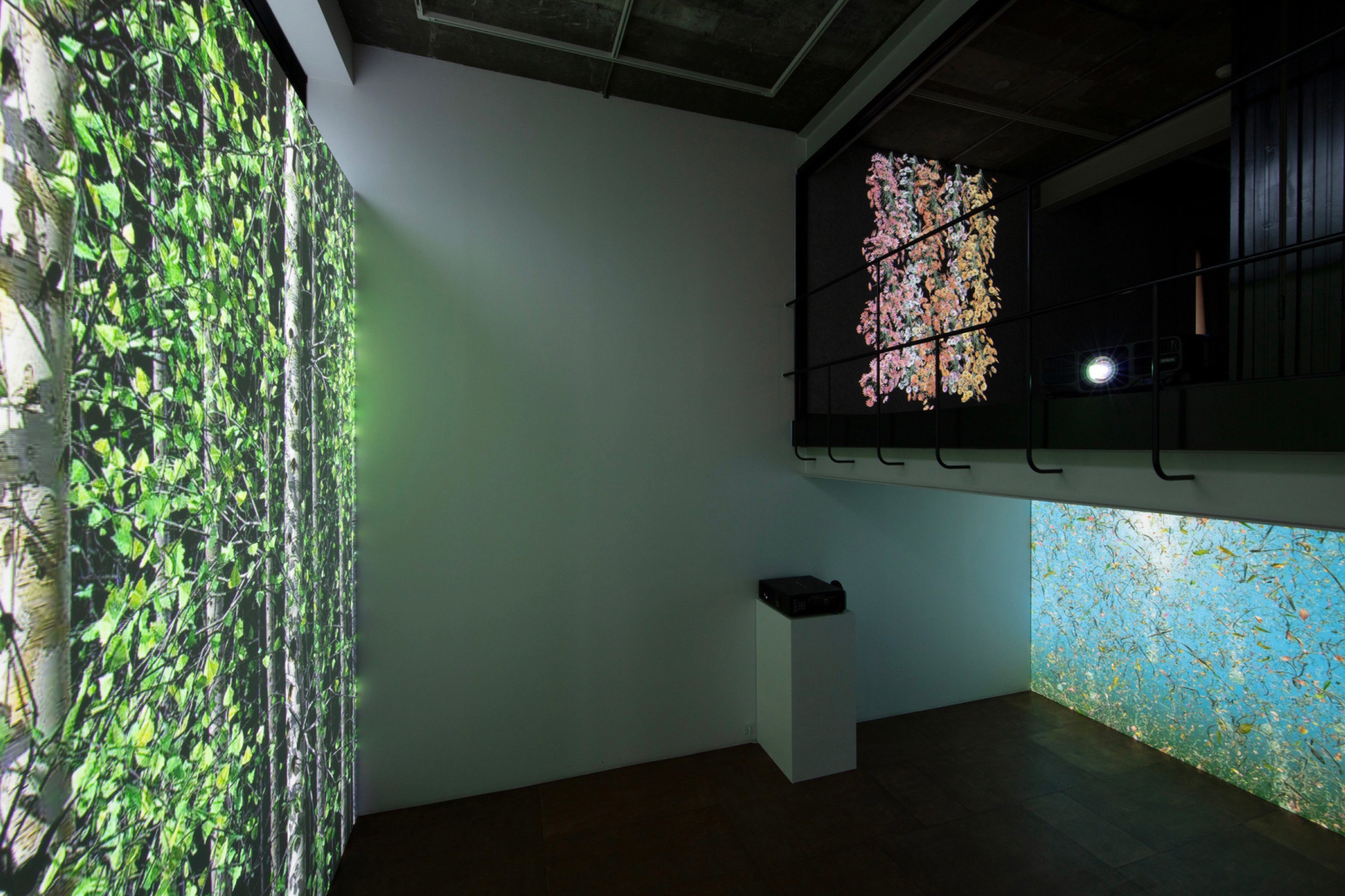 전시전경 · Exhibition view · (출처 = 리만머핀) · (Source = Lehmann Maupin)