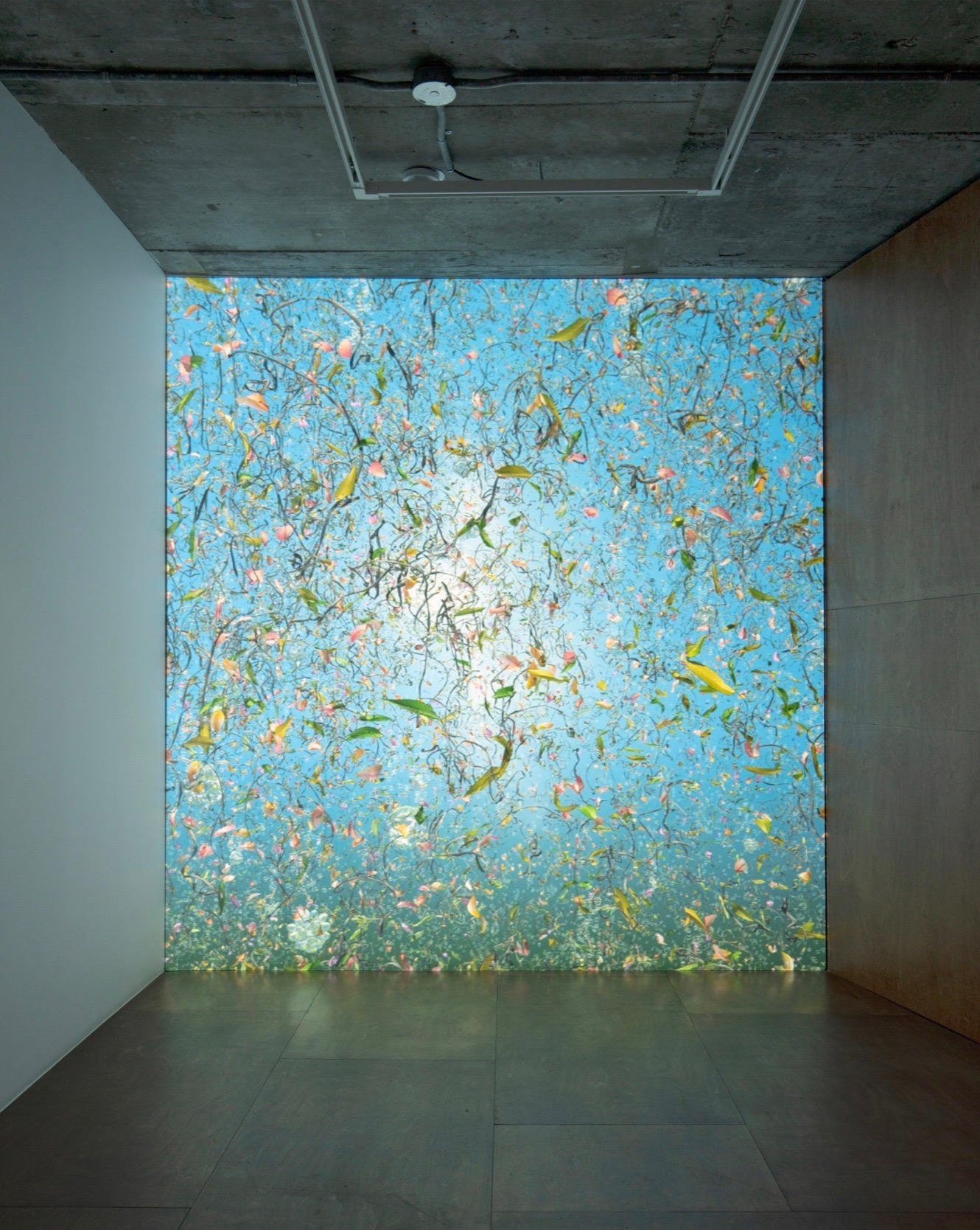 전시전경 · Exhibition view · (출처 = 리만머핀) · (Source = Lehmann Maupin)