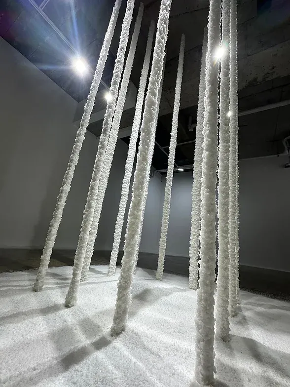 전시전경 · Exhibition view · (이미지 출처 = 갤러리팔조) · (Image Source = gallerypalzo)