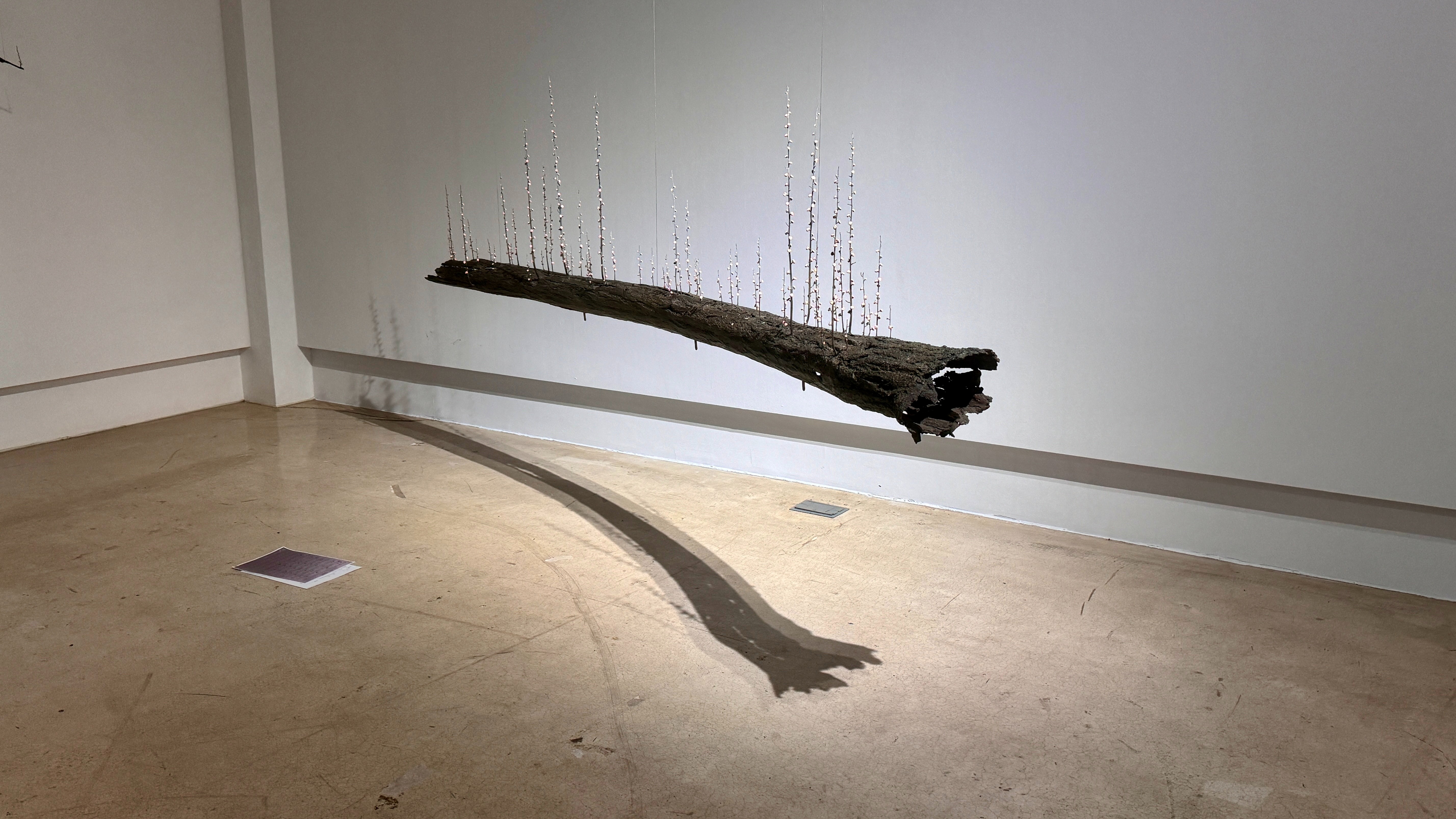 전시전경 · Exhibition view · (이미지 제공 = 아트이슈프로젝트)