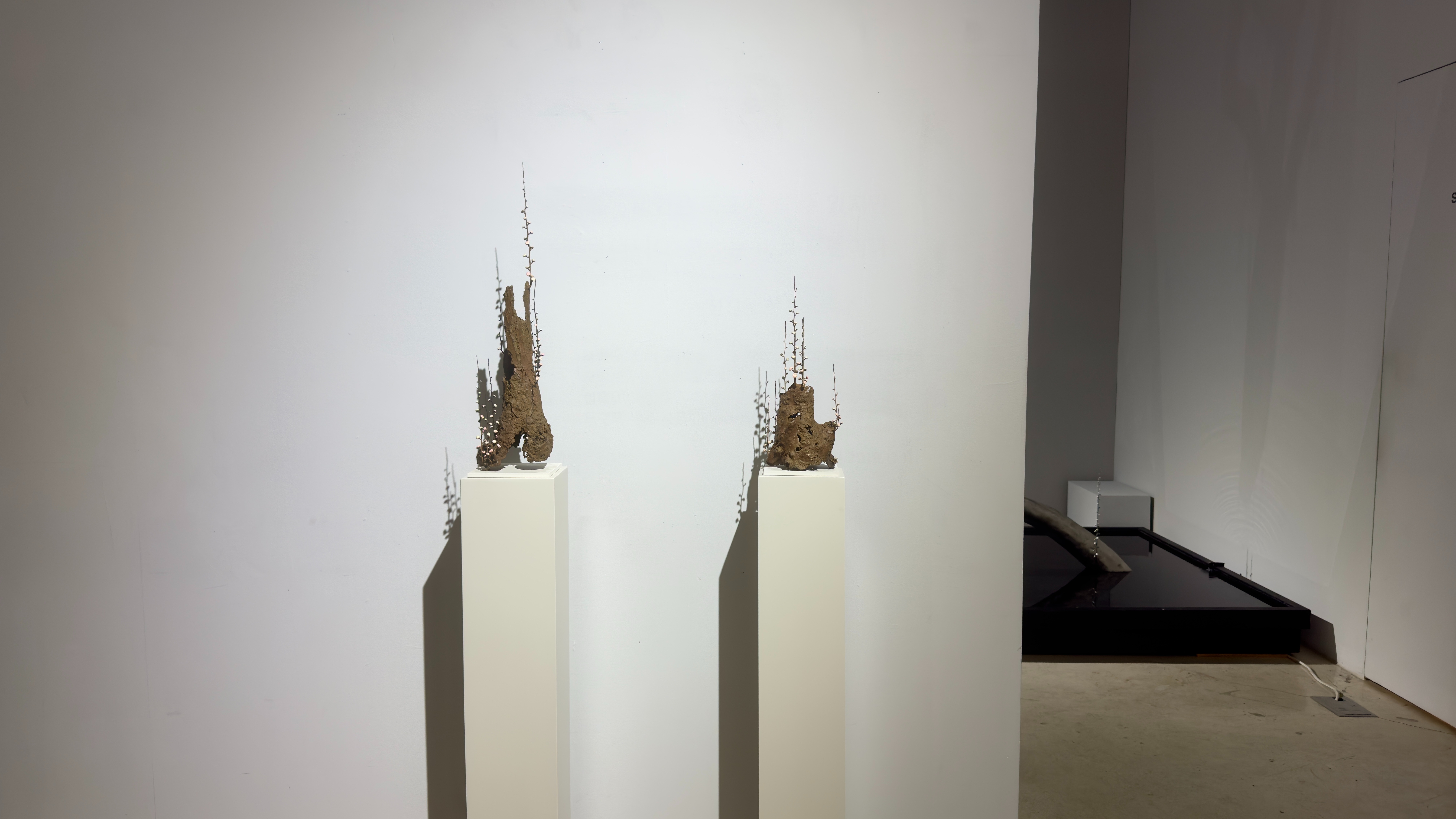 전시전경 · Exhibition view · (이미지 제공 = 아트이슈프로젝트)