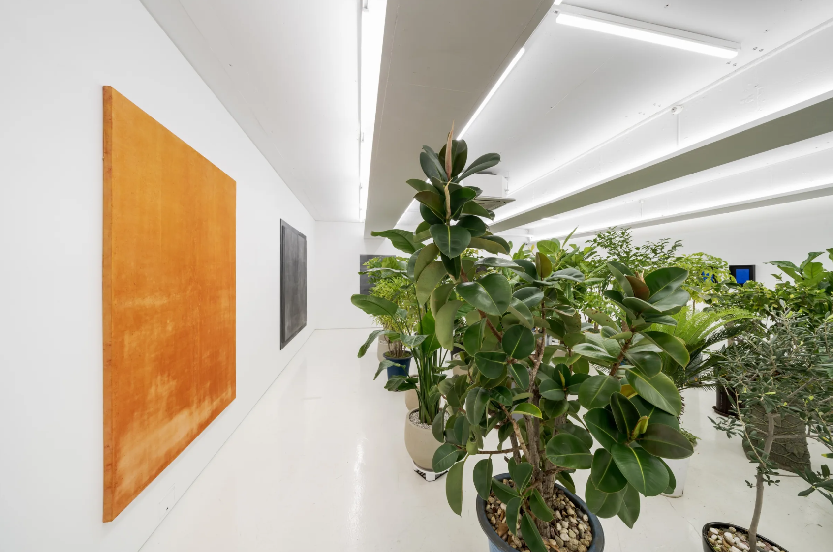 전시전경 · Exhibition view · (출처 = 챕터투)