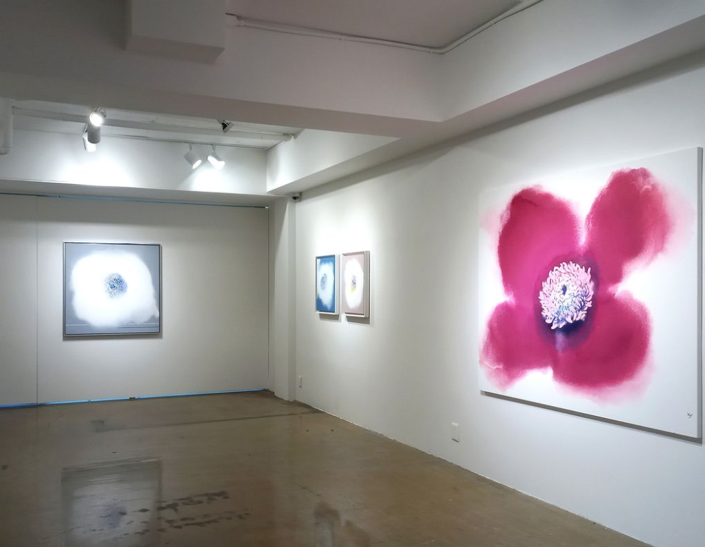 전시전경 · Exhibition view · (출처 = 갤러리마리)