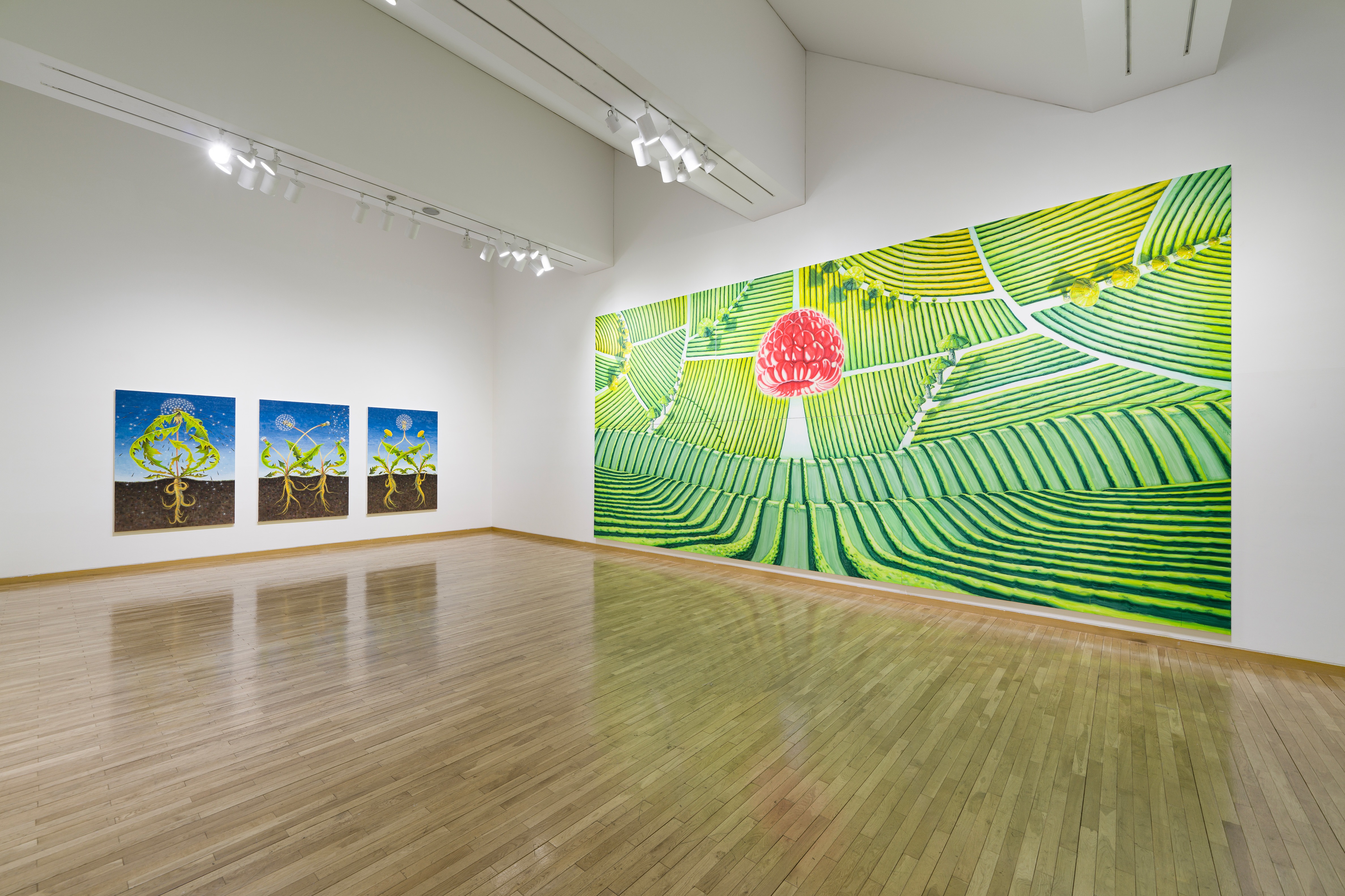 전시전경 · Exhibition view · (이미지 출처 = 금호미술관)