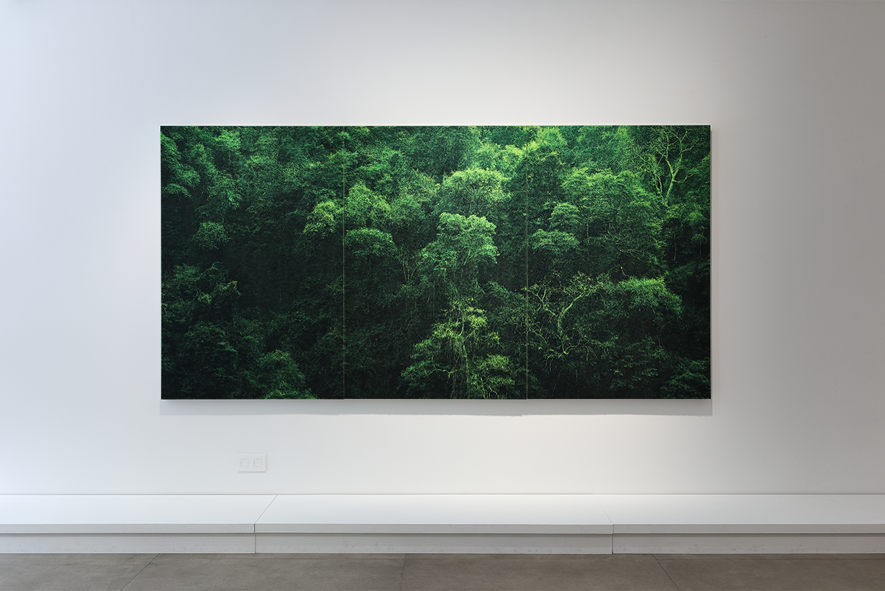 전시전경 · Exhibition view · (출처 = 오페라갤러리)