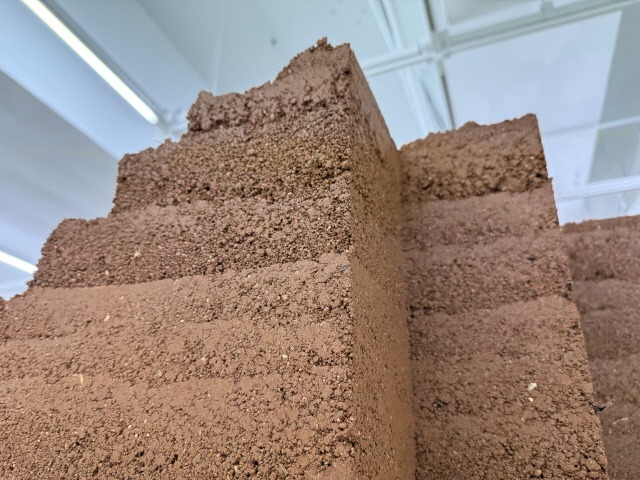 전시전경 · Exhibition view · 캐슬(1), 2025, 흙, 물풀, 식물 섬유, 가변 설치. ⓒ김주리. 이미지 보안1942