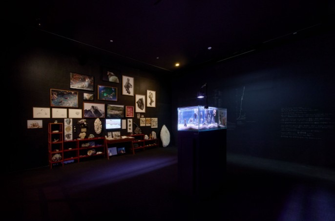 전시전경 · Exhibition view
