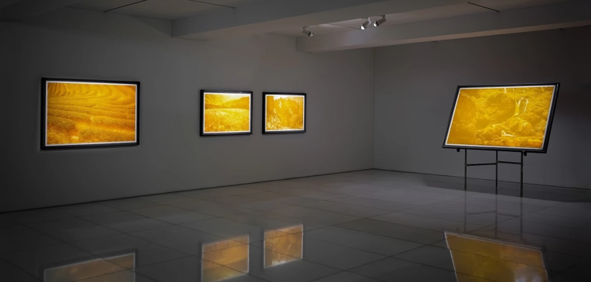 전시전경 · Exhibition view