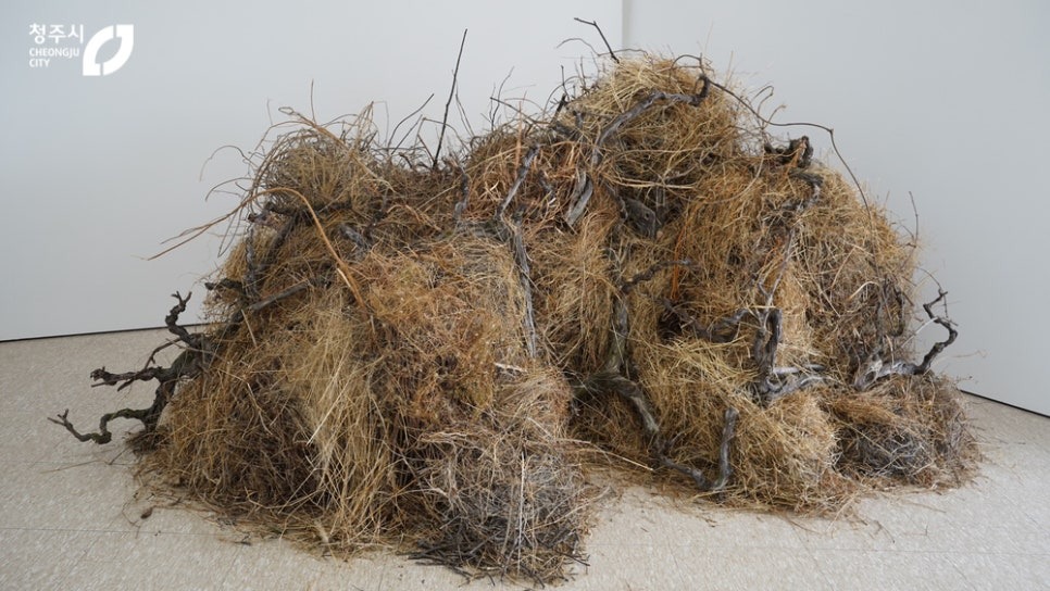 전시전경 · Exhibition view · 출처:청주시청, 청주대청호미술관