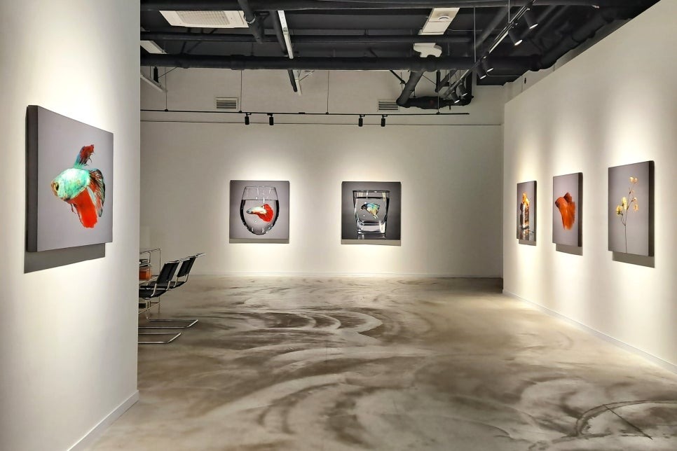 전시전경 · Exhibition view