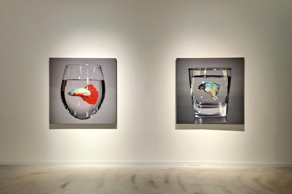전시전경 · Exhibition view