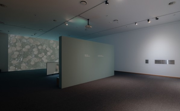 전시전경 · Exhibition view · 전시 전경. 사진=부산현대미술관