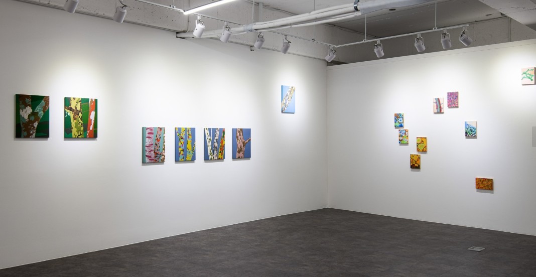 전시전경 · Exhibition view · 출처:schengen gallery