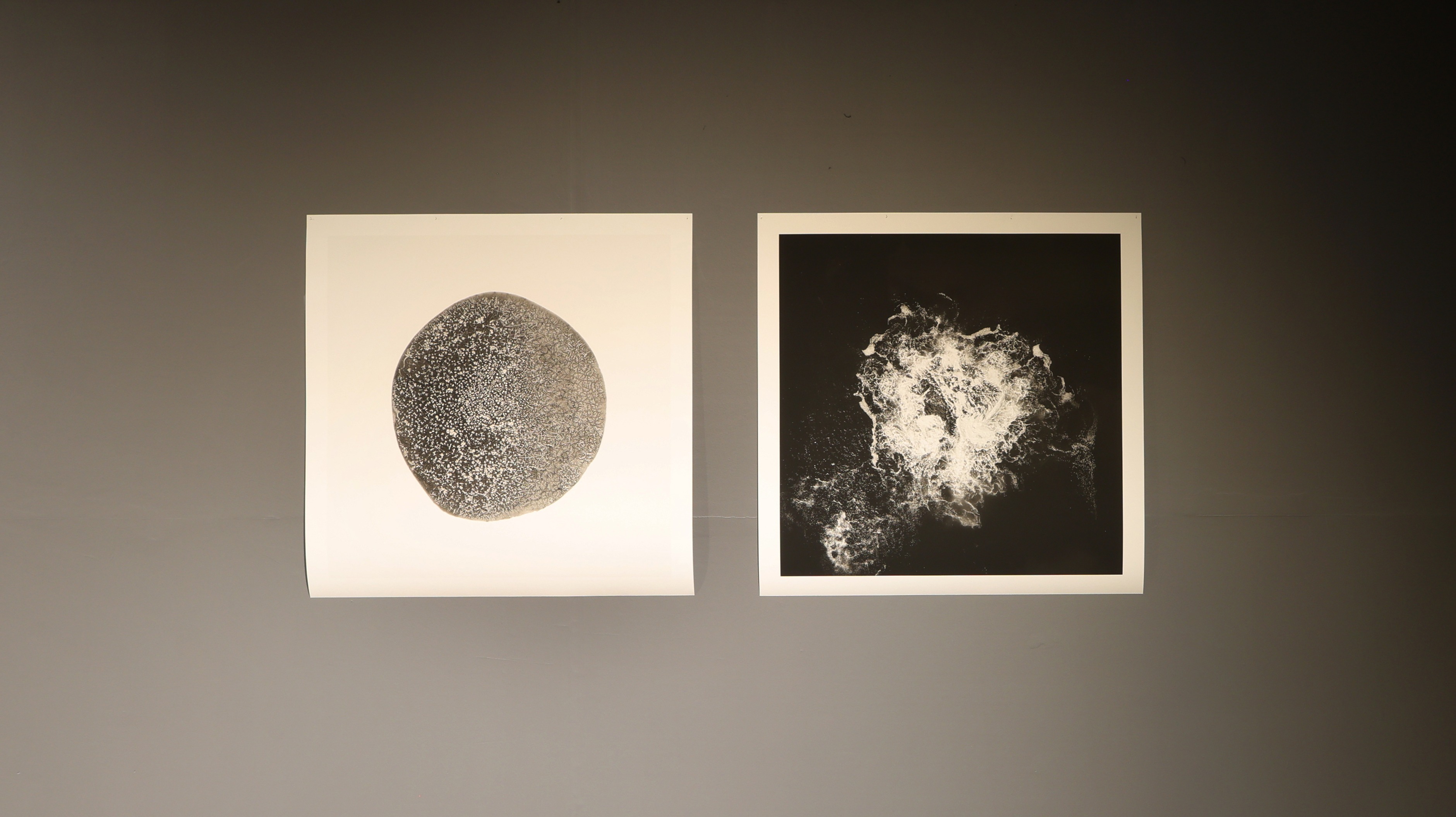 관계 속에서_ 심연을 향하여 · 하네뮬레 종이에 디지털 잉크젯 프린트 · 200x90cm, 2점 연작 · 2025 · Julia Davis(줄리아 데이비스)