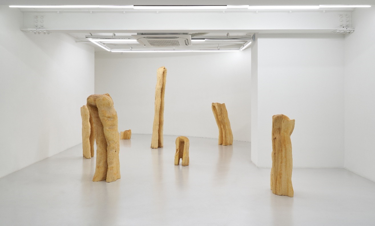 전시전경 · Exhibition view · 이동훈 Donghoon Rhee  긴 새 연작 Long Bird Series, 2025
