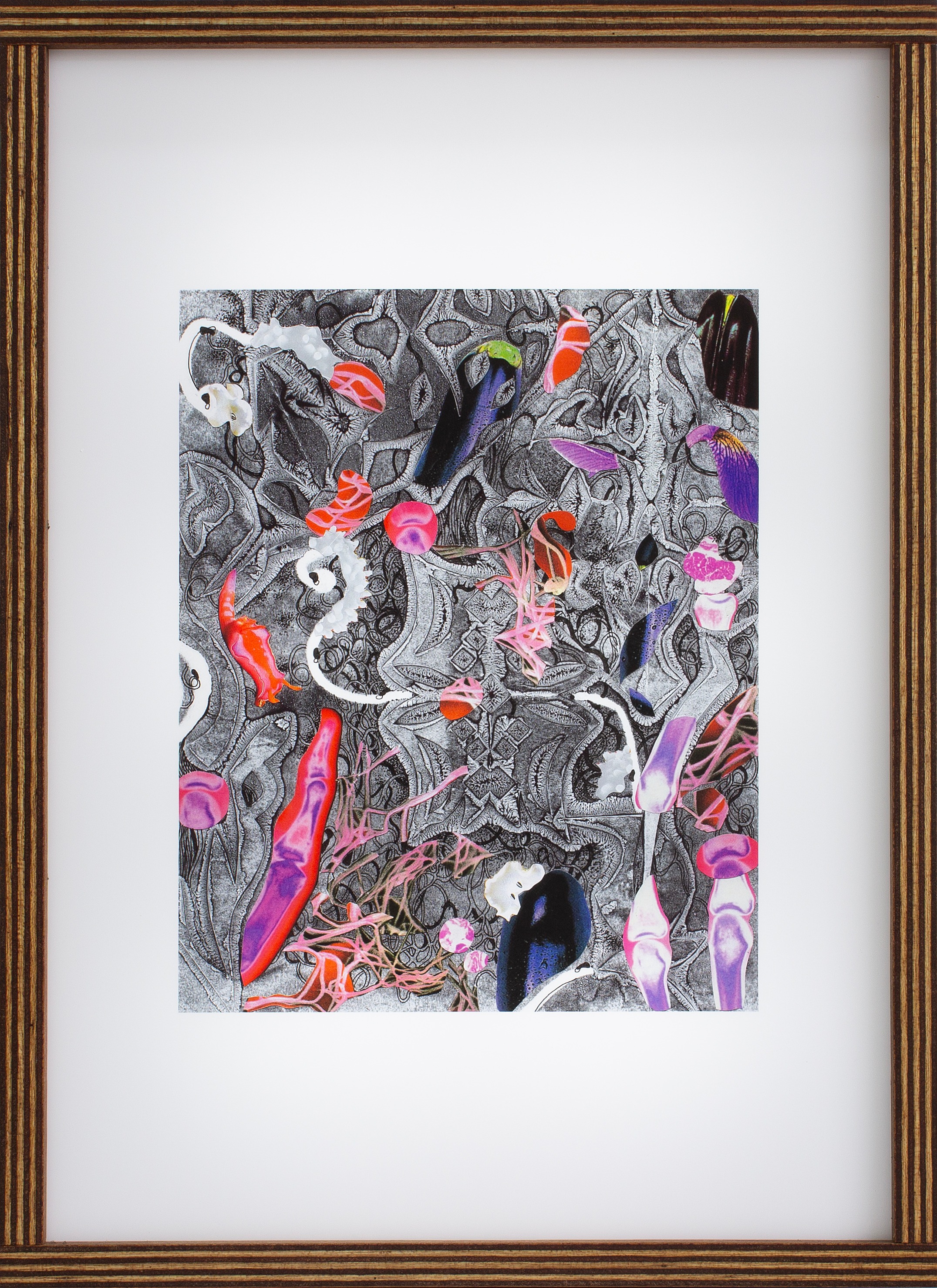 공명하는 관계망_연작 중 _실로시빈 · 필름 프린트, 아크릴 판, LED 조명, 목재 프레임 박스 · 44x32x10cm · 2025 · 이유진_ · 출처 및 제공: 이유진
