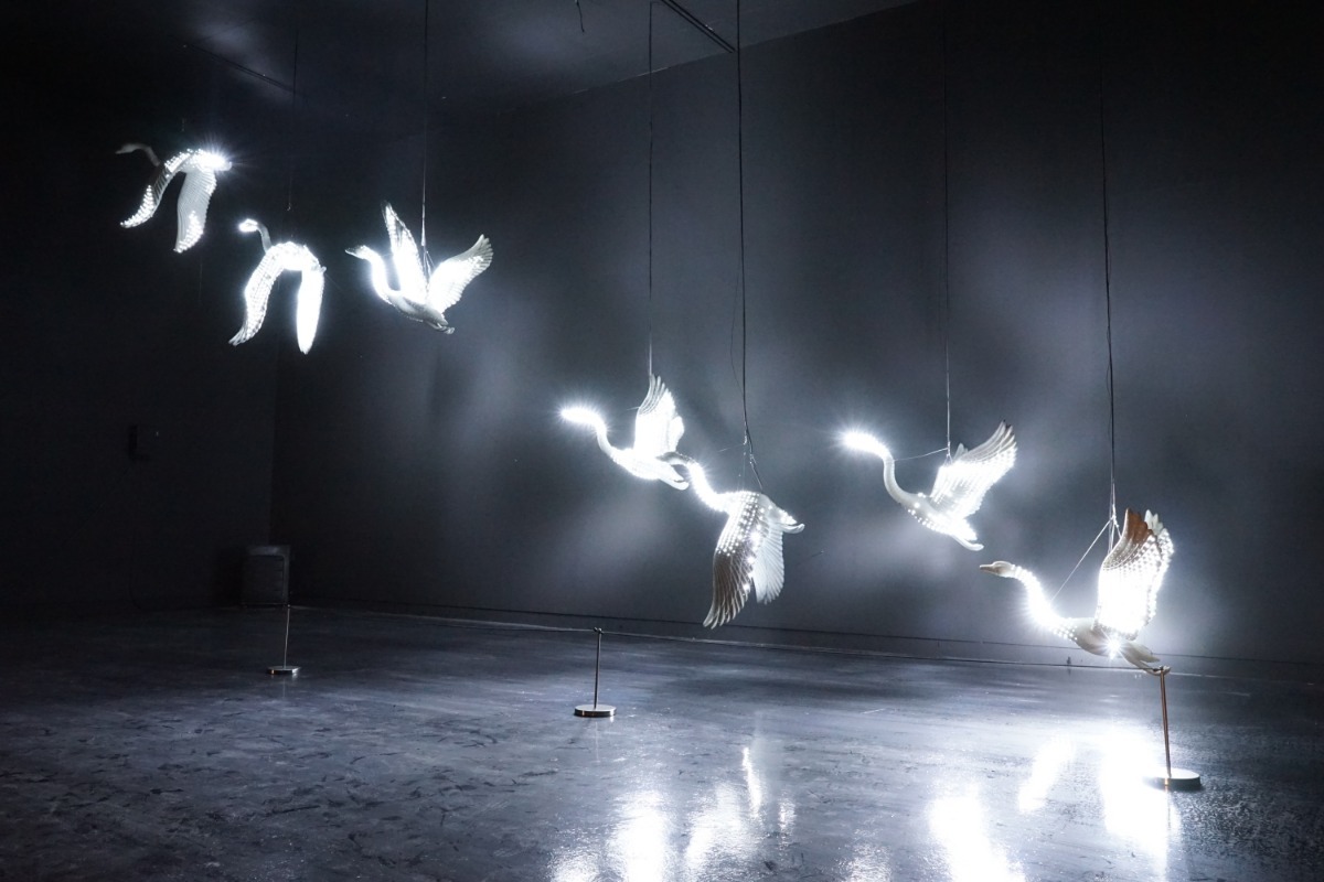 BENDING MATRIX_SWAN · LED, Controller, FRP, · 가변설치,1000x700x200cm · 2016 · 이재형