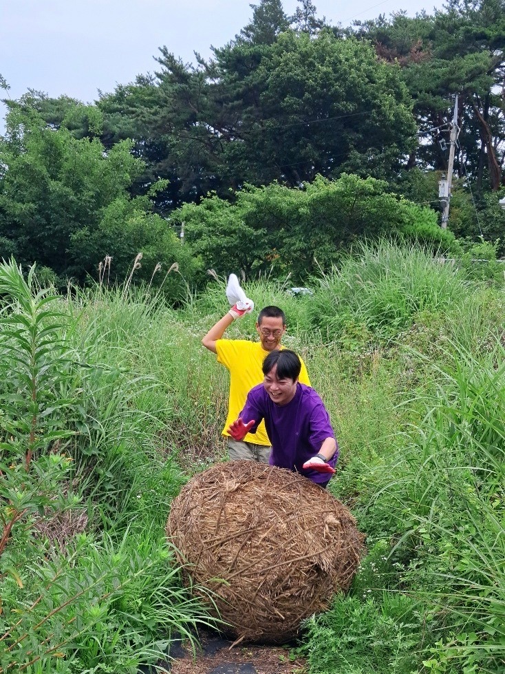 〈공굴리기〉 · 사위질빵, 좀깨잎나무, 산더덕, 호박덩쿨, 환삼 덩쿨, 느티나무, 앵두씨, 야생갓대, 나도겨풀, 녹화끈 등 자연재료 · 직경 200 cm · 2025 · 오미자 OMIJA · 부산비엔날레조직위원회 제공
